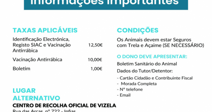 Vacina&ccedil;&atilde;o Antirr&aacute;bica