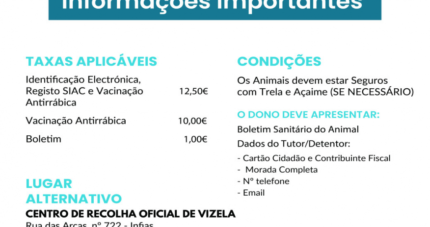 Vacina&ccedil;&atilde;o Antirr&aacute;bica
